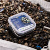 Zeeuwse Mosselen 2kg Biologisch - Afbeelding 3